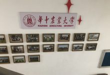 华中农业大学监控系统,选择我们更专业-武汉沁煜网络科技有限公司